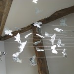 Butterflies