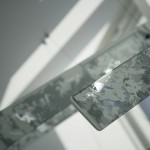 Forest close up