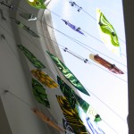 Shoal (detail)