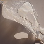 Ripple